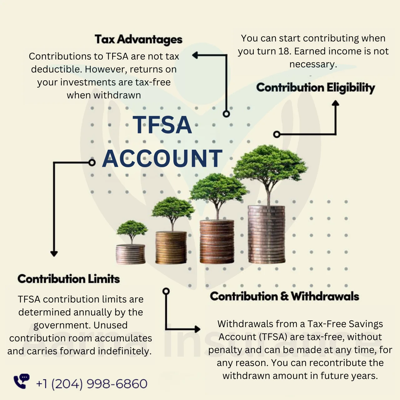 Tax-Free Savings Account (TFSA)